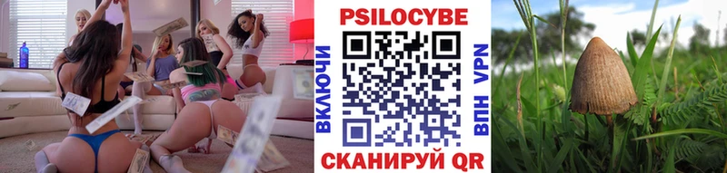 Галлюциногенные грибы Psilocybe  Псков 